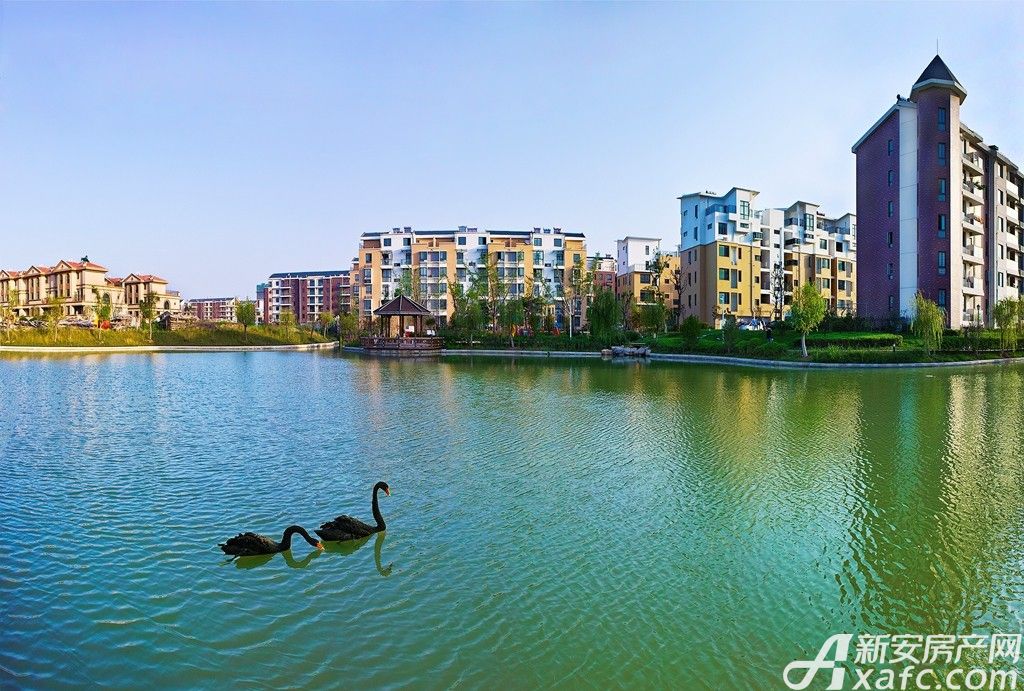 天鹅湾·水岸缇香_宿州天鹅湾·水岸缇香价格,户型图_手机新安房产网