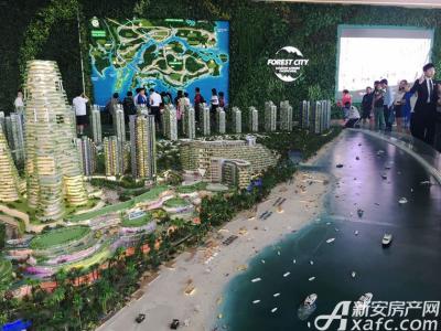 碧桂园森林城市 无耻 图片合集图片