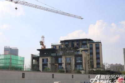新房 庐阳区 森林公园 旭辉铂悦庐州府 > 楼盘相册