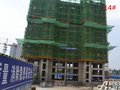 秀山信达城:14#楼工程进度（2016-9-06）