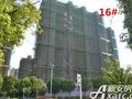 秀山信达城:16#工程进度（2017.8.14）